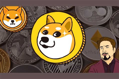 The Future of Memecoins: